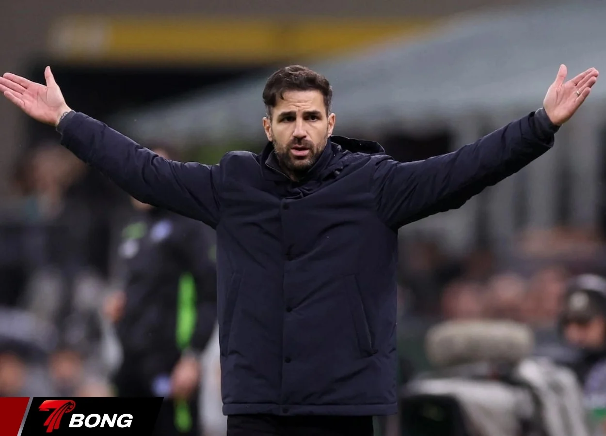 Como và câu chuyện cổ tích mang tên Cesc Fabregas