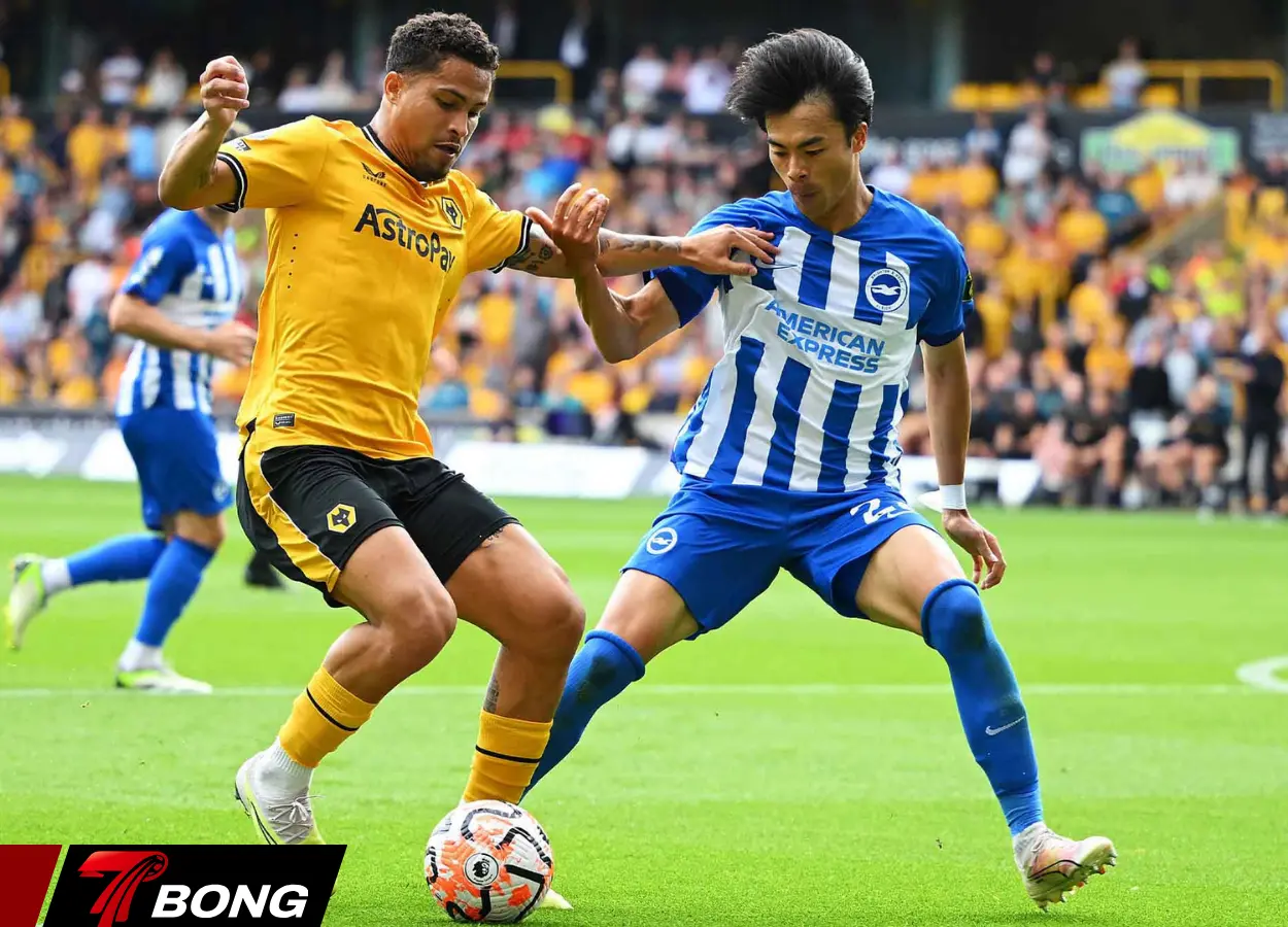 Brighton sẽ thi đấu với tâm thế tương đối thoải mái tại sân nhà Amex