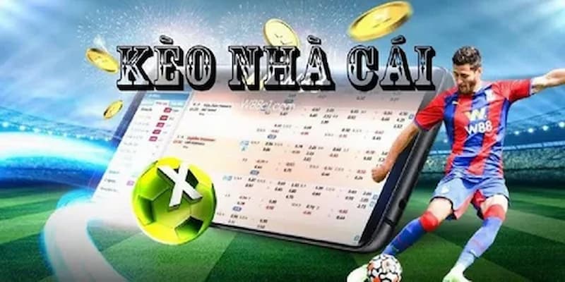 Tỷ Lệ Kèo Nhà Cái Hôm Nay – Biến Động Kèo Sớm Nhất 24h